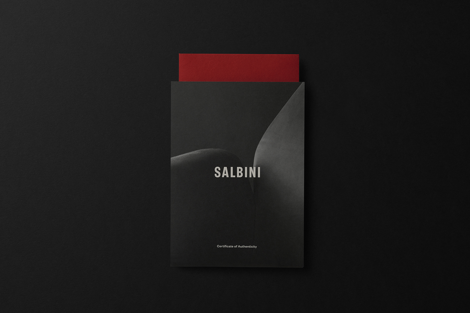 Visual identity by Studio Brave for Italian online furniture retailer Salbini.