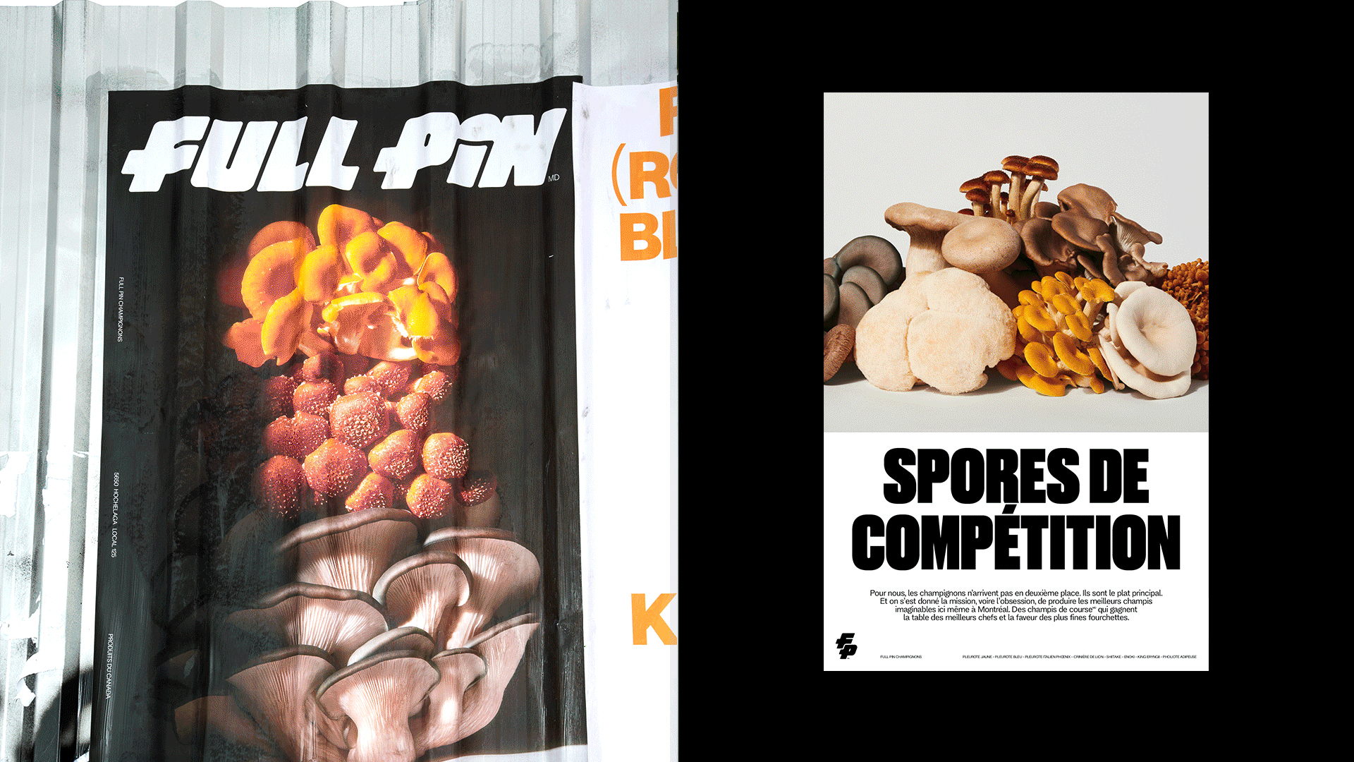 Logotype, logo, art direction, packaging and merchandise for mushroom business Full Pin by Rethink Logotype, logo, art direction, packaging and merchandise for mushroom business Full Pin by Rethink