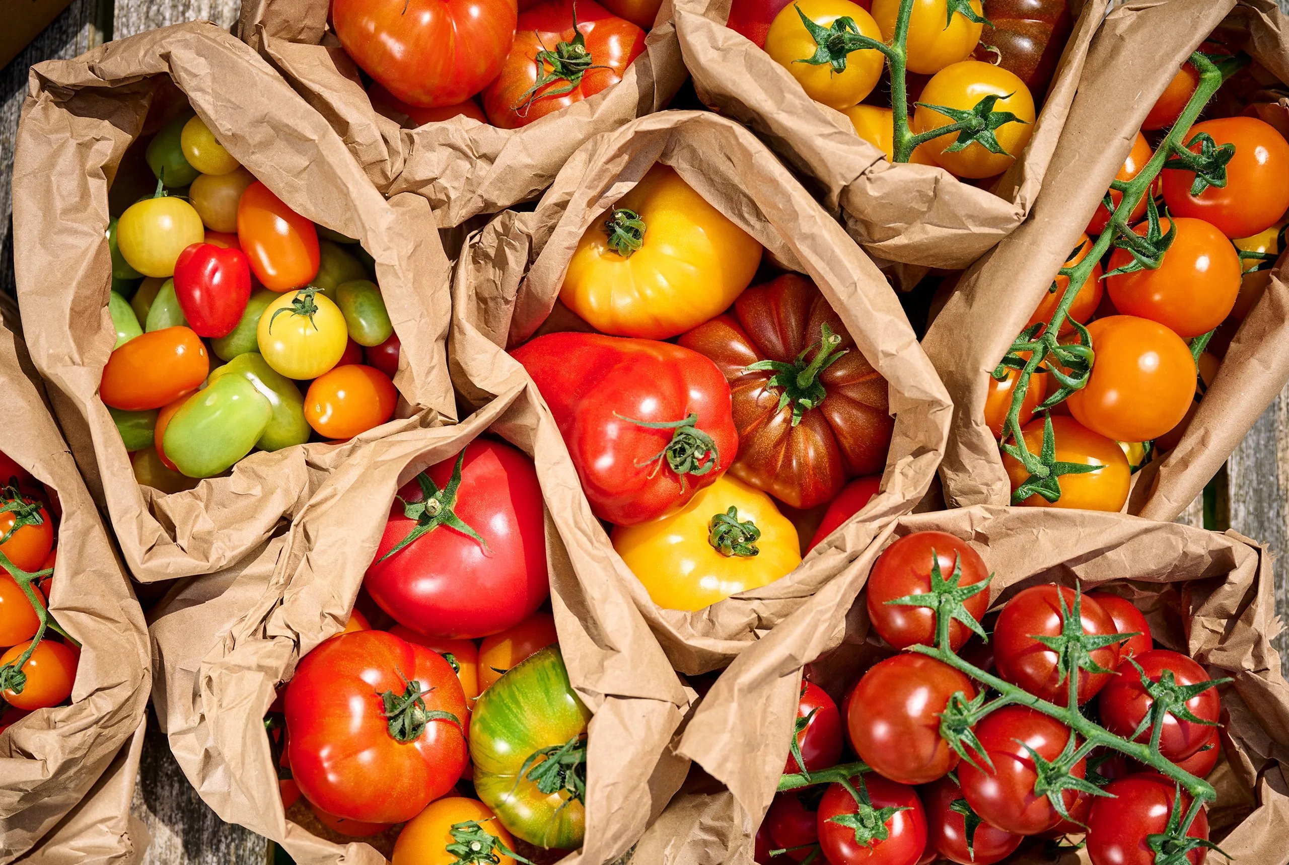 Logo, branding and packaging design by London-based B&B Studio for Isle of Wight Tomatoes. 