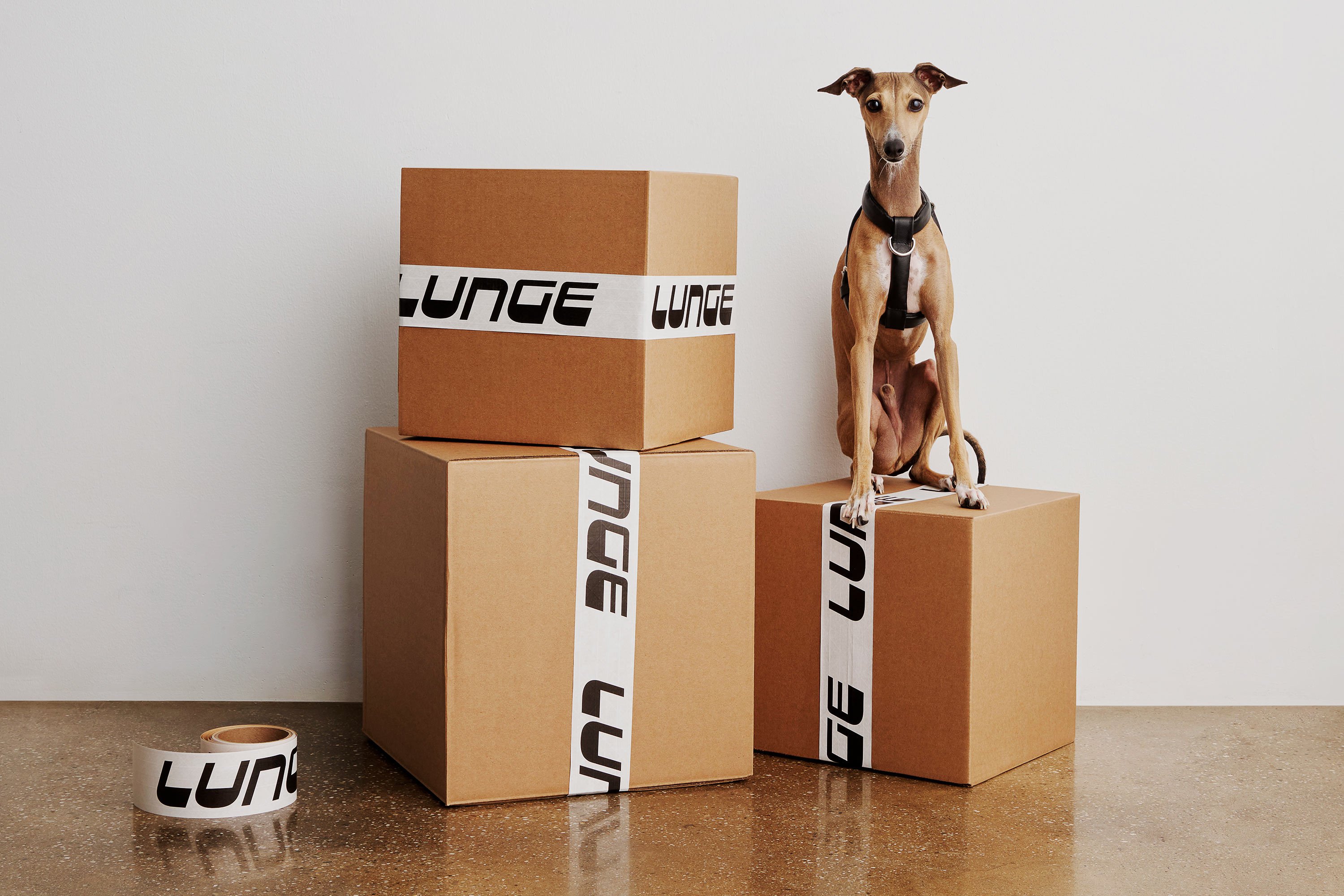 Logotype, art direction and website for high end pet product brand Lunge designed by New York-based Lunge. 