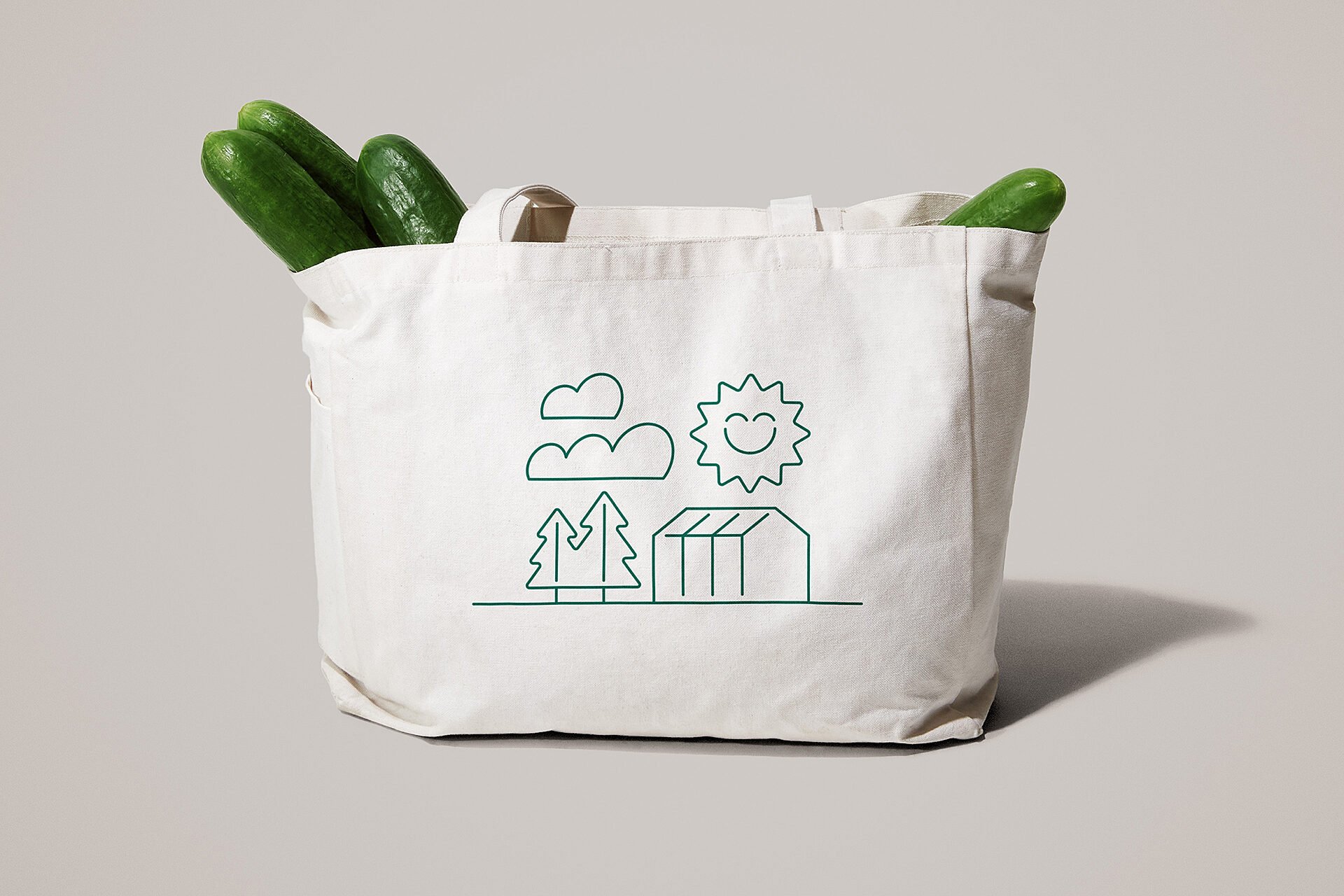 New logotype, illustration and website for Canadian cucumber brand Toundra designed by LG2