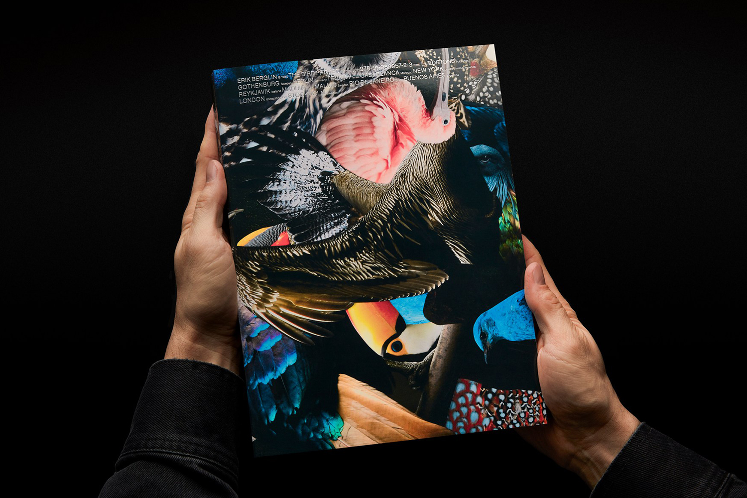 Book Design Inspiration – Erik Berglin: The Bird Project by Lundgren+Lindqvist, Sweden