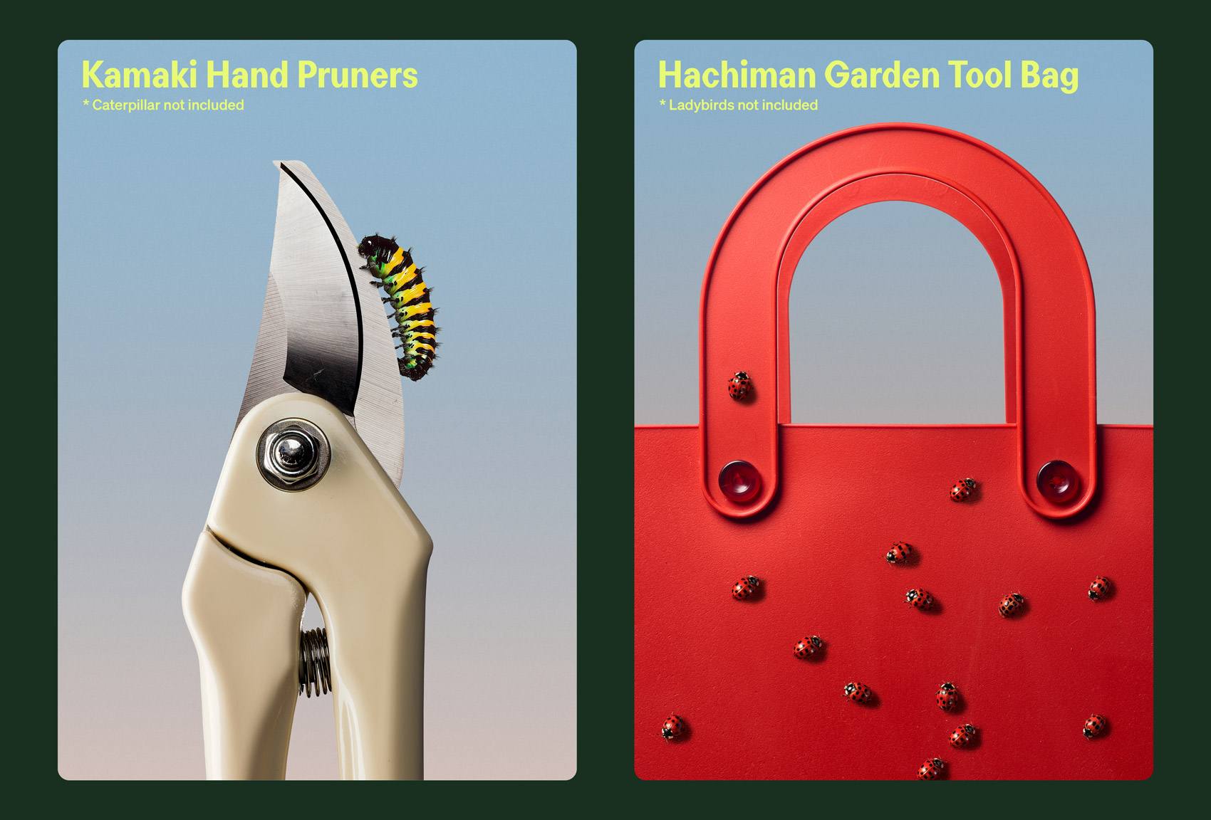 Bugg branding logo typography art direction by Seachange 