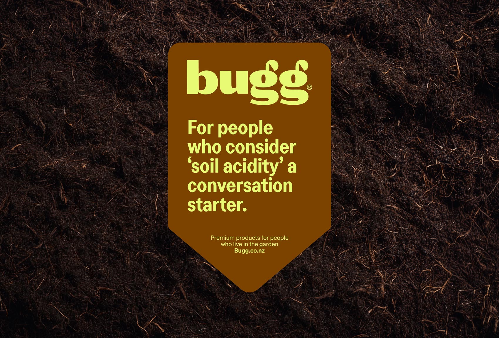 Bugg branding logo typography art direction by Seachange 