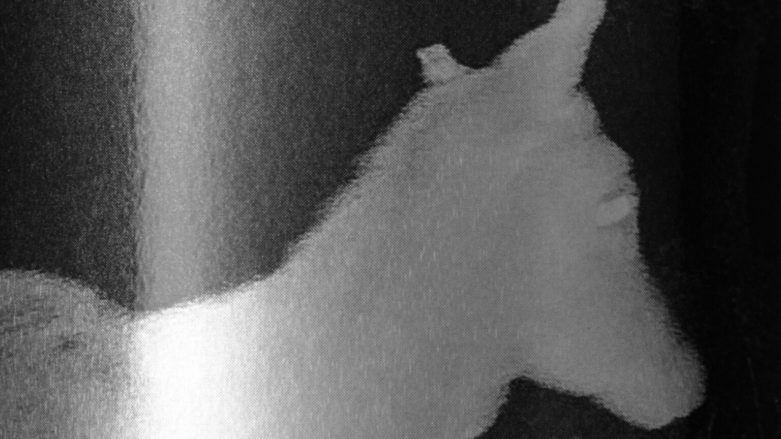 DArbequina_SMLXL branding identity logo wordmark packaging bpo review bottle label