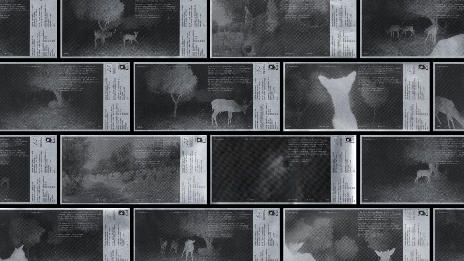 DArbequina_SMLXL branding identity logo wordmark packaging bpo review photos