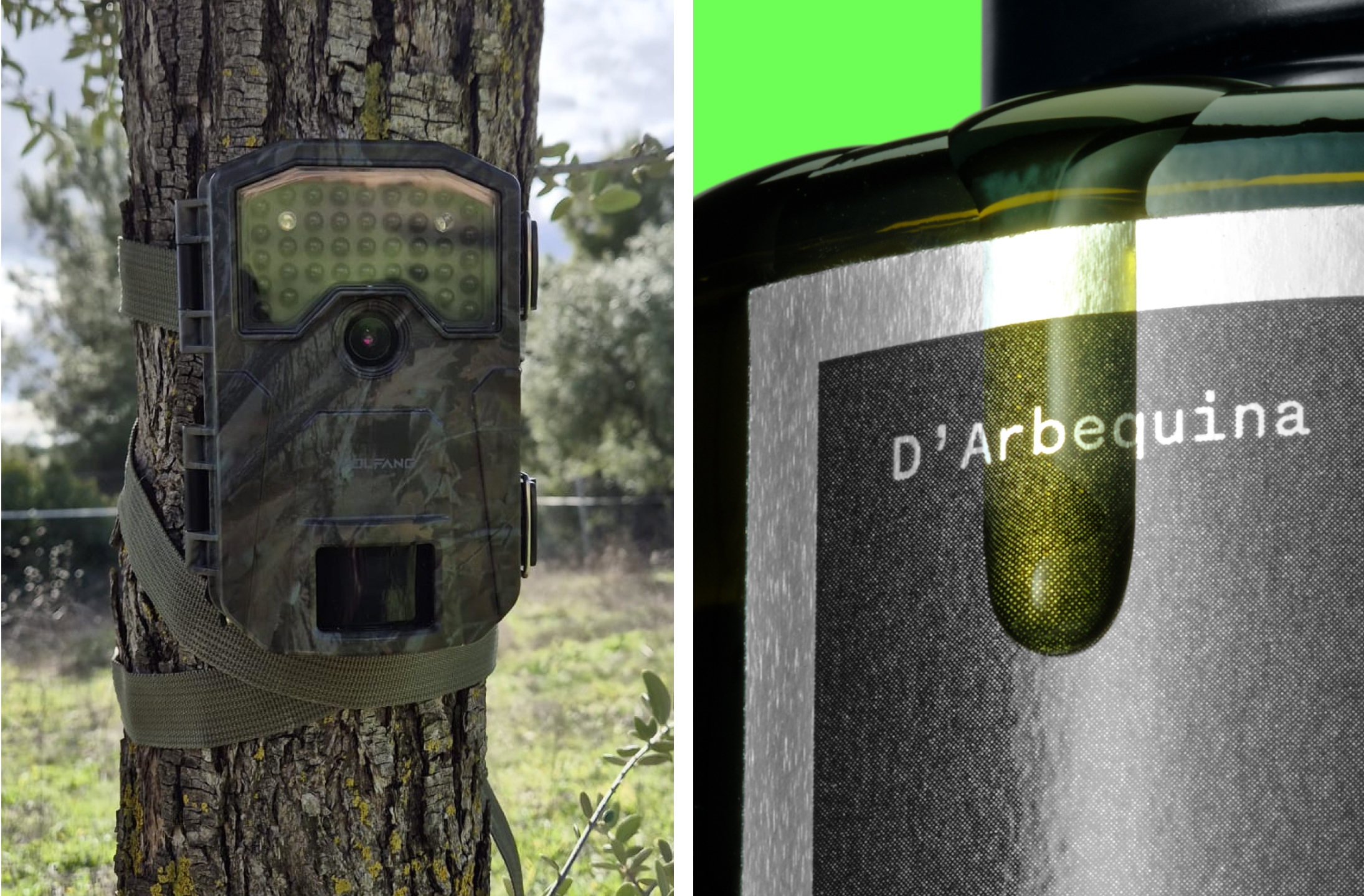 DArbequina_SMLXL branding identity logo wordmark packaging bpo review