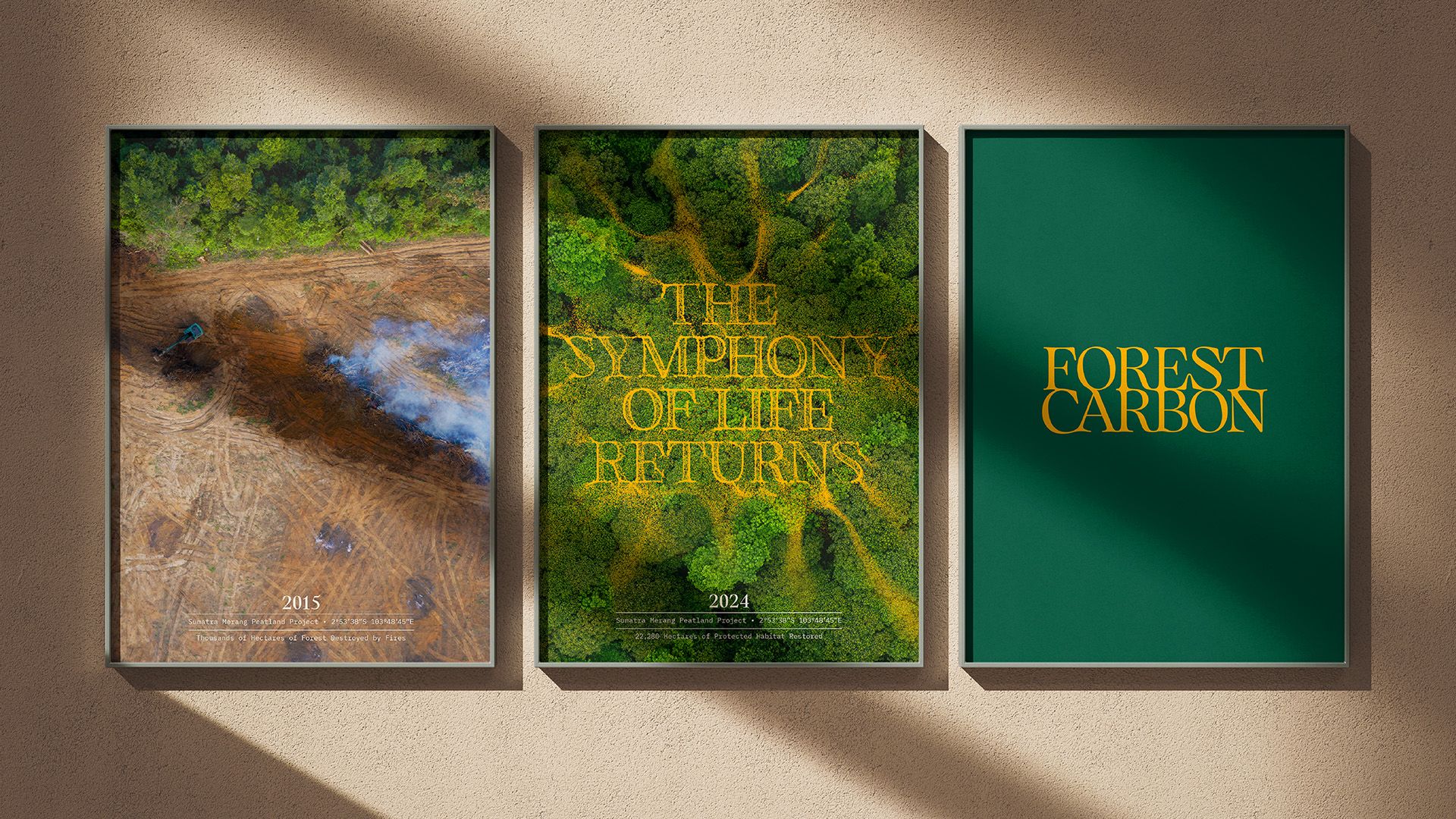 Brand identity design sonic branding and wordmark for Forest Carbon by Design Bridge