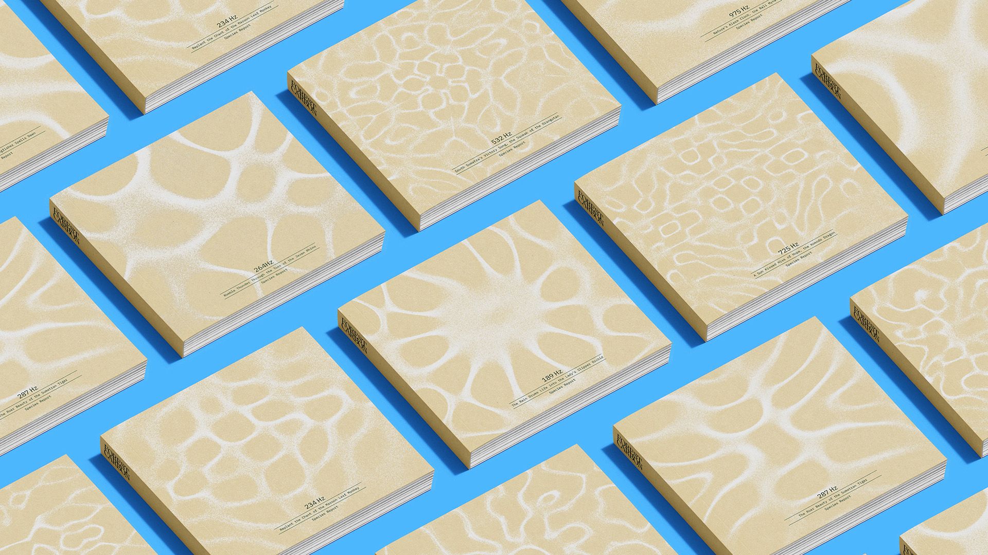 Brand identity design sonic branding and wordmark for Forest Carbon by Design Bridge