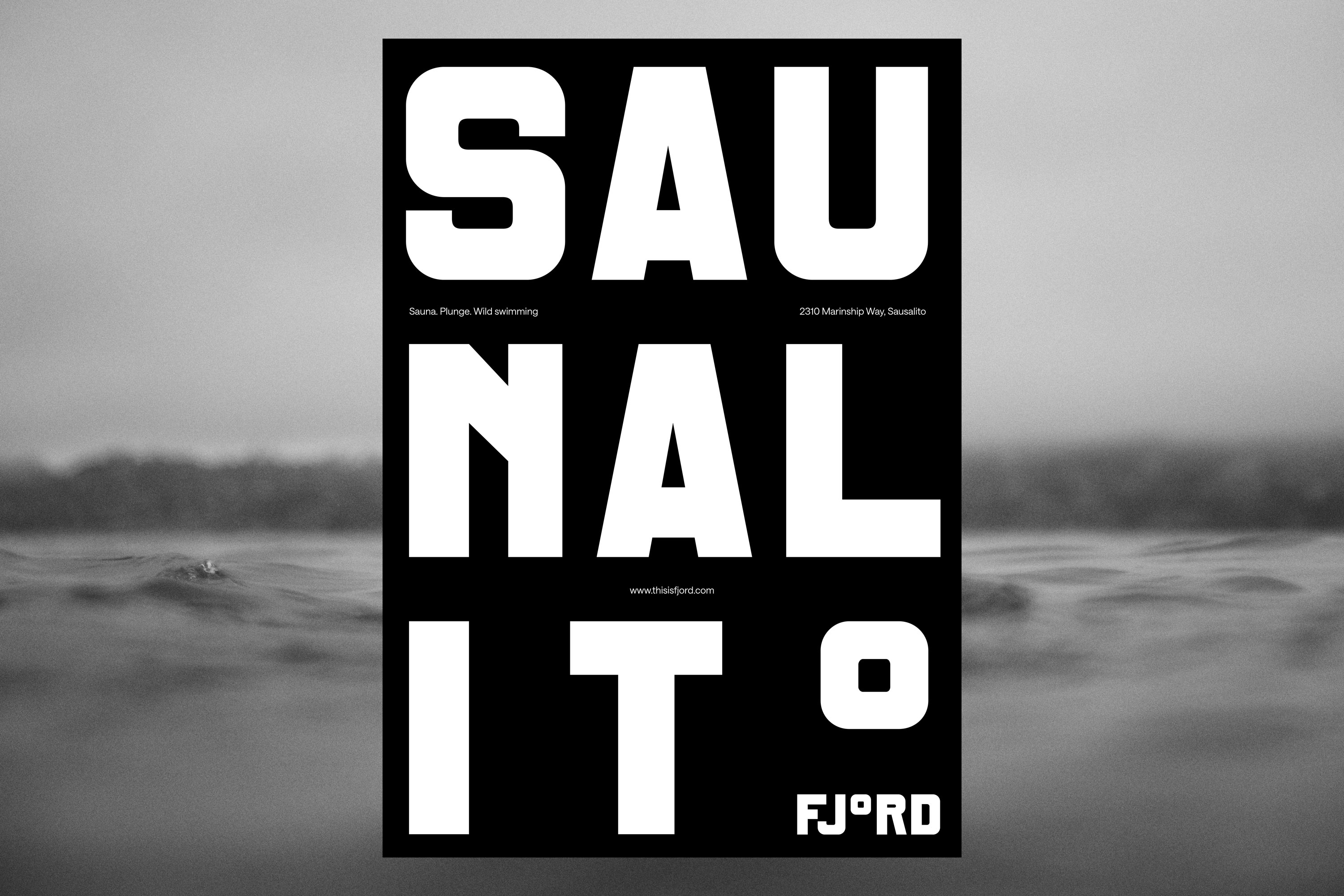 DutchScot Fjord branding identity design bpo review Posters 3