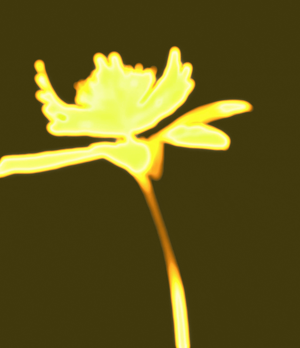 Juana Made Thought logo branding identity design bpo review flower