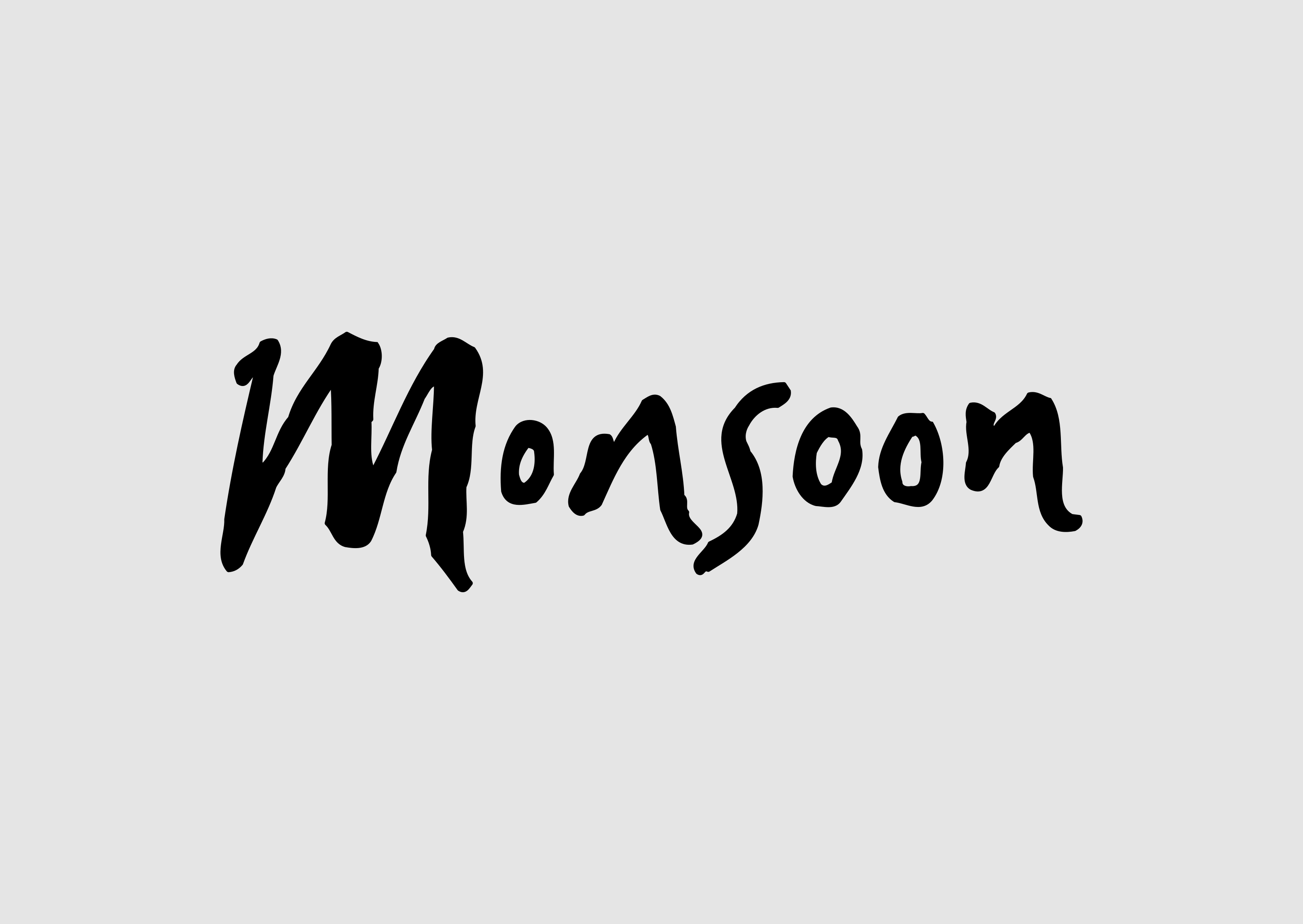 Old Monsoon Logo