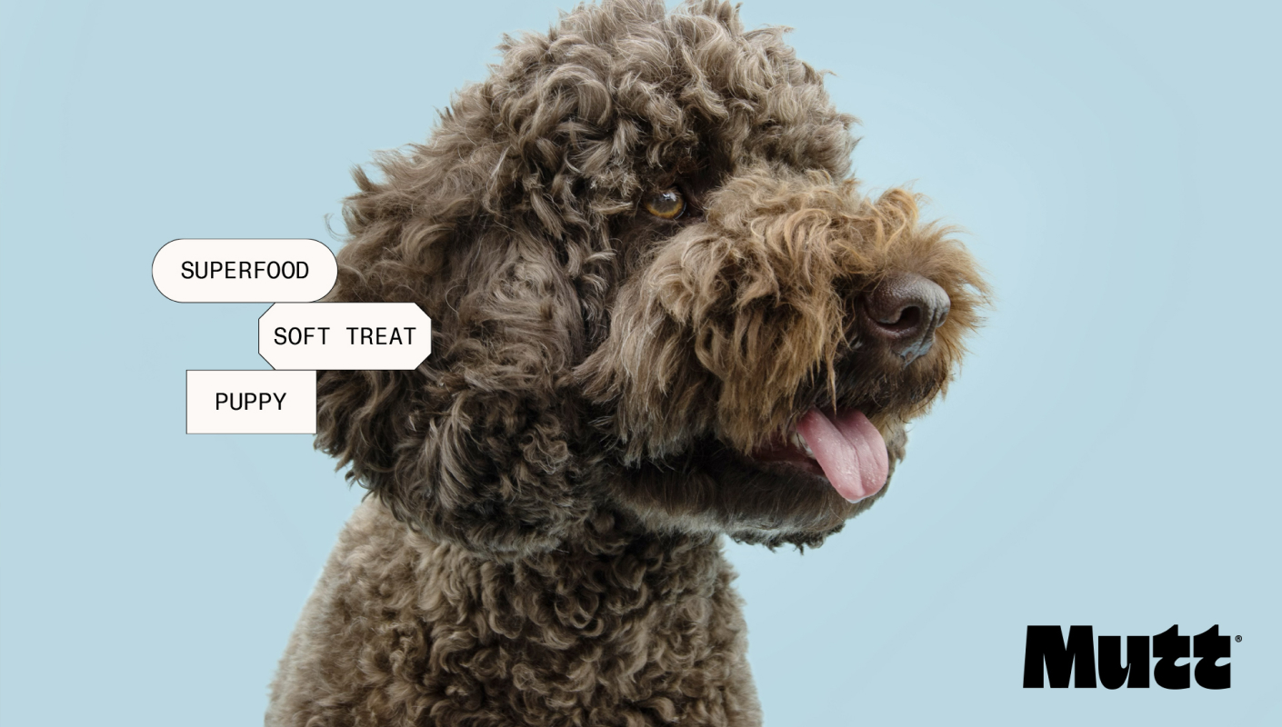 Mutt branding logo packaging typography by Brands & People