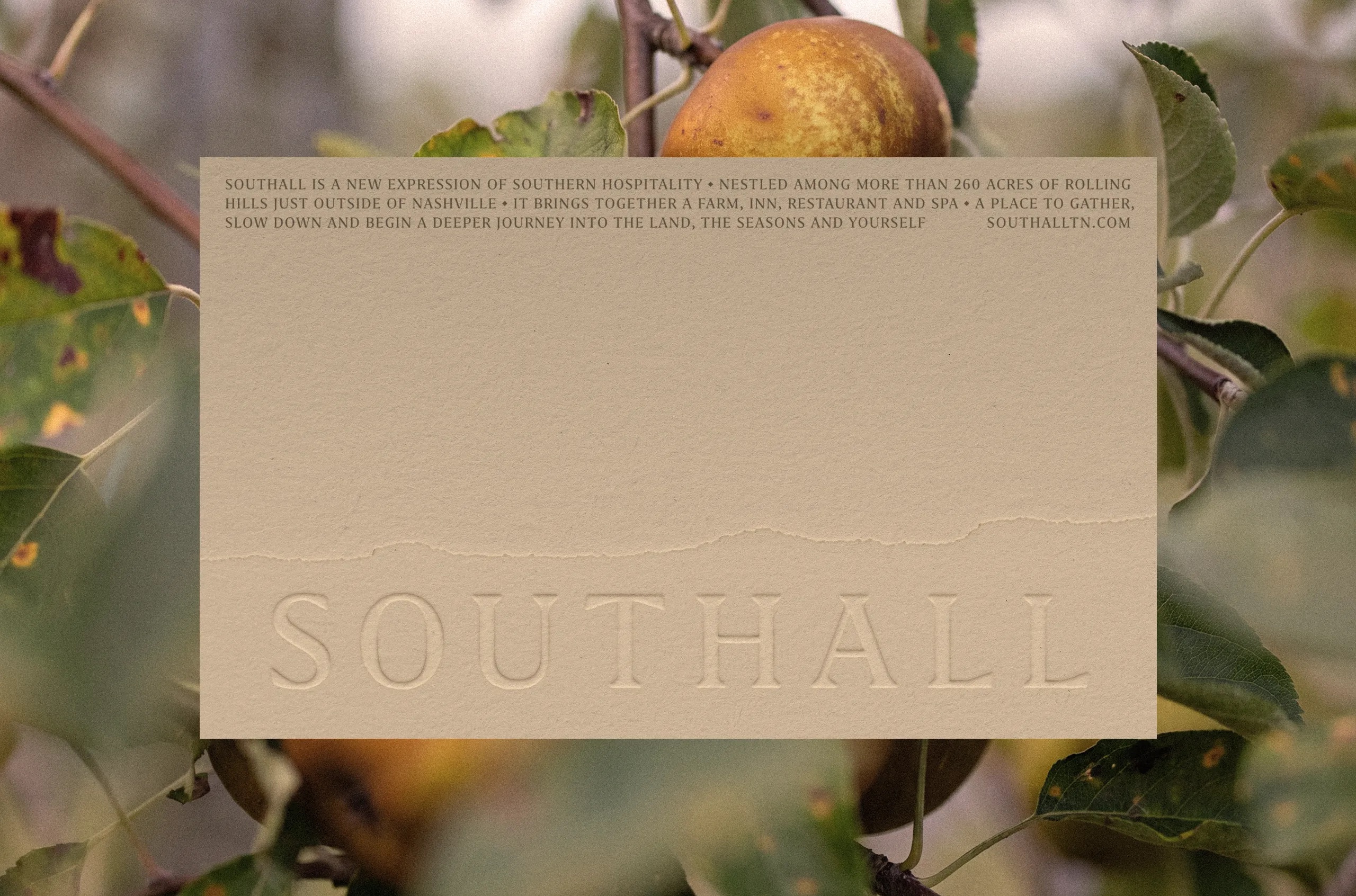 PerkyBros Southall branding identity design logo wordmark bpo review Emboss Type4