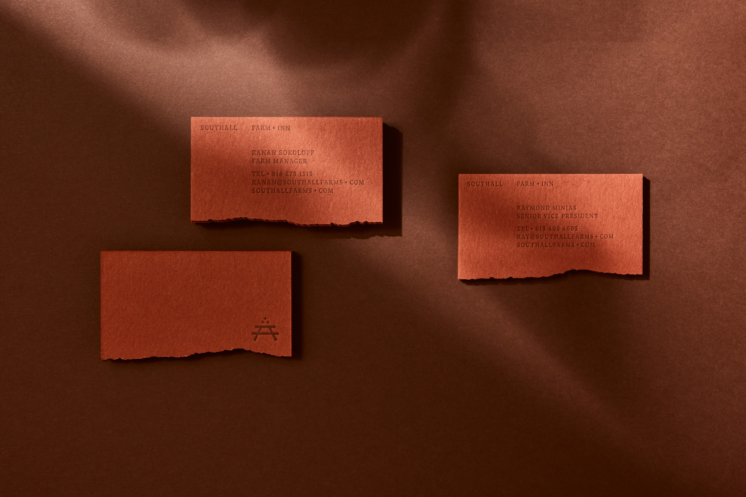 PerkyBros Southall branding identity design logo wordmark bpo review business cards print