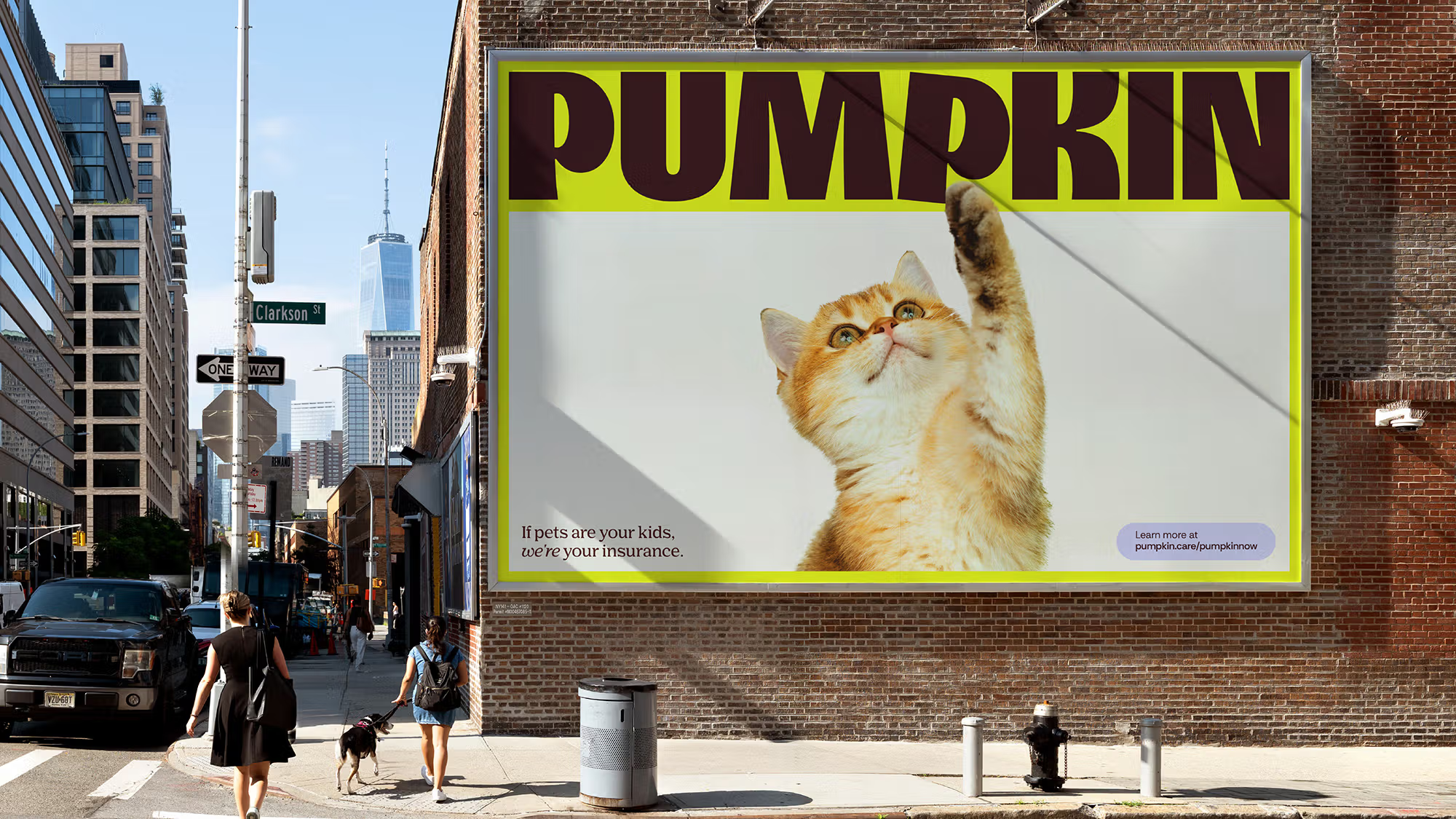 Pumpkin Kuba and Friends brand identity logo wordmark bpo review advert billboard poster