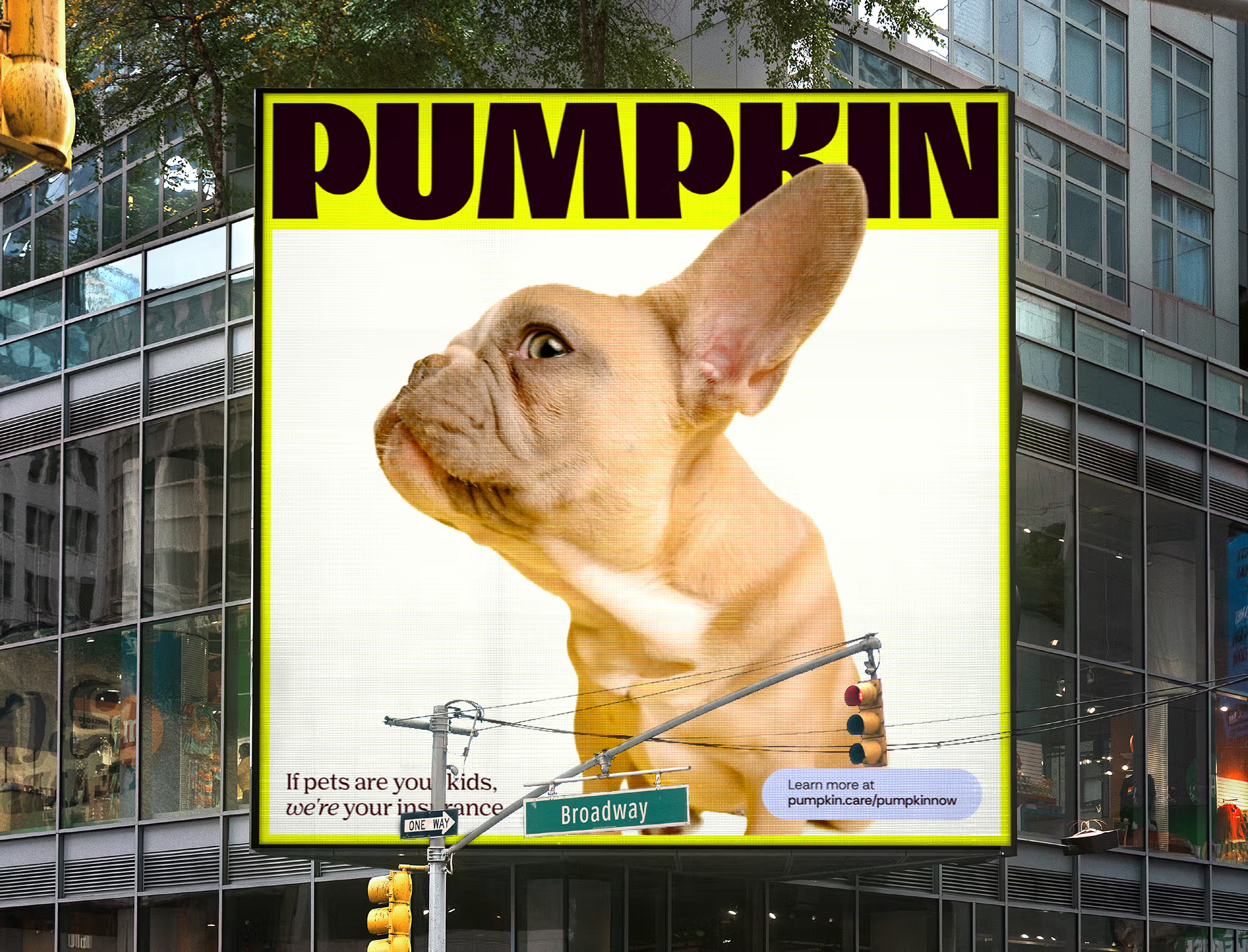 Pumpkin Kuba and Friends brand identity logo wordmark bpo review billboard poster