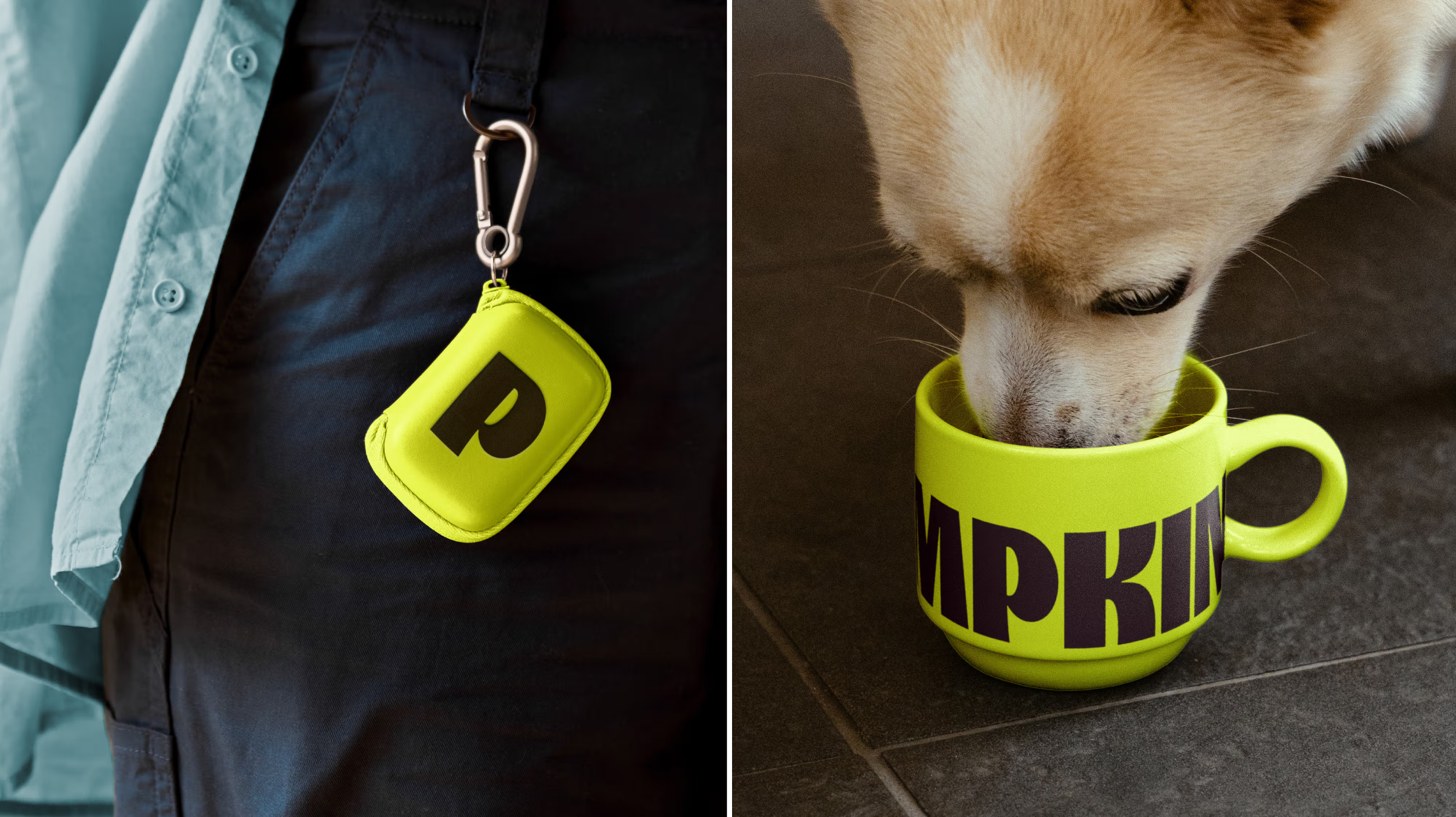 Pumpkin Kuba and Friends brand identity logo wordmark bpo review photography