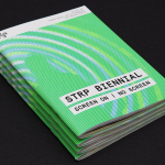 STRP Biennial 2015 by Raw Color
