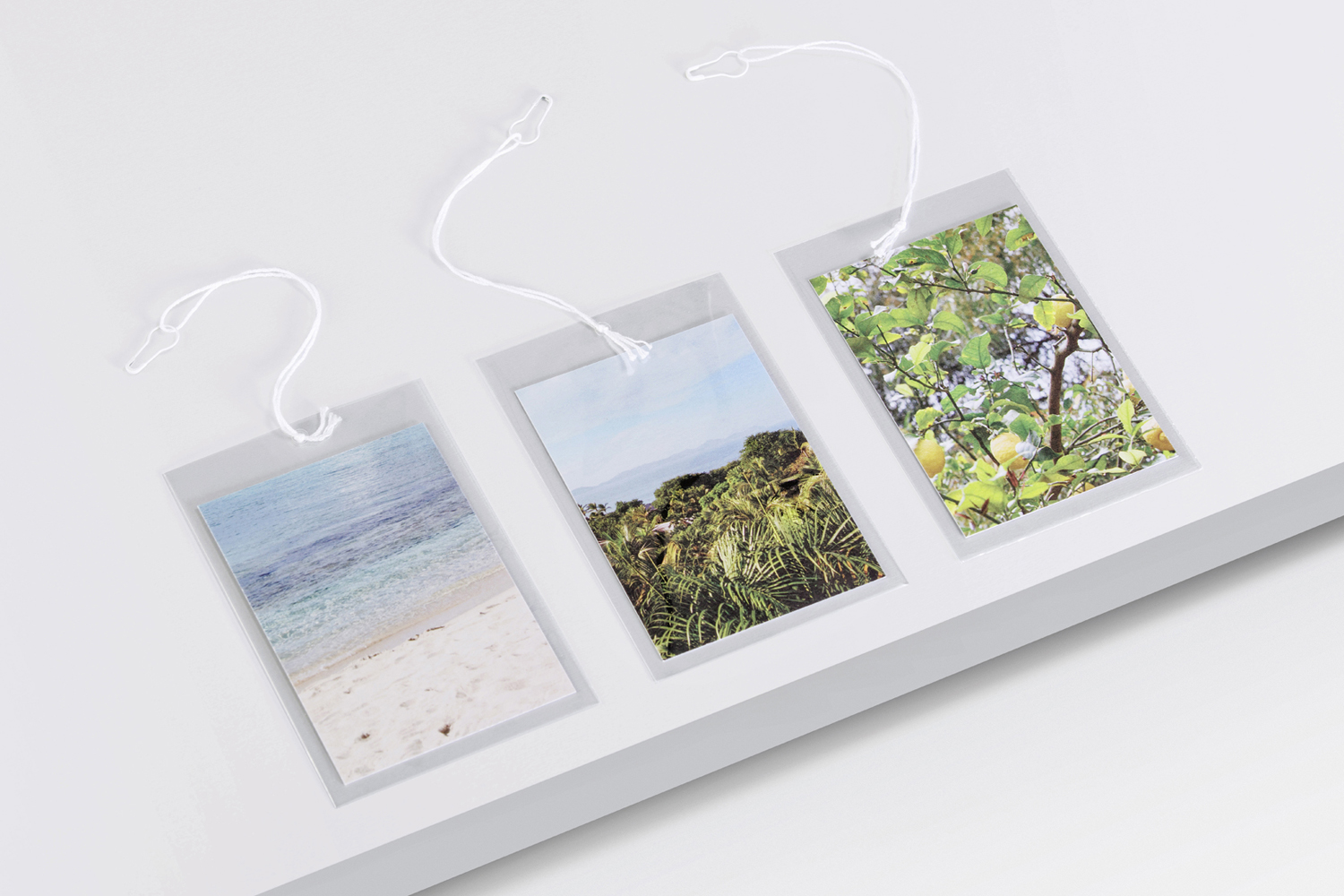 Swing Tag Design – The Dayrooms by Two Times Elliott, United Kingdom