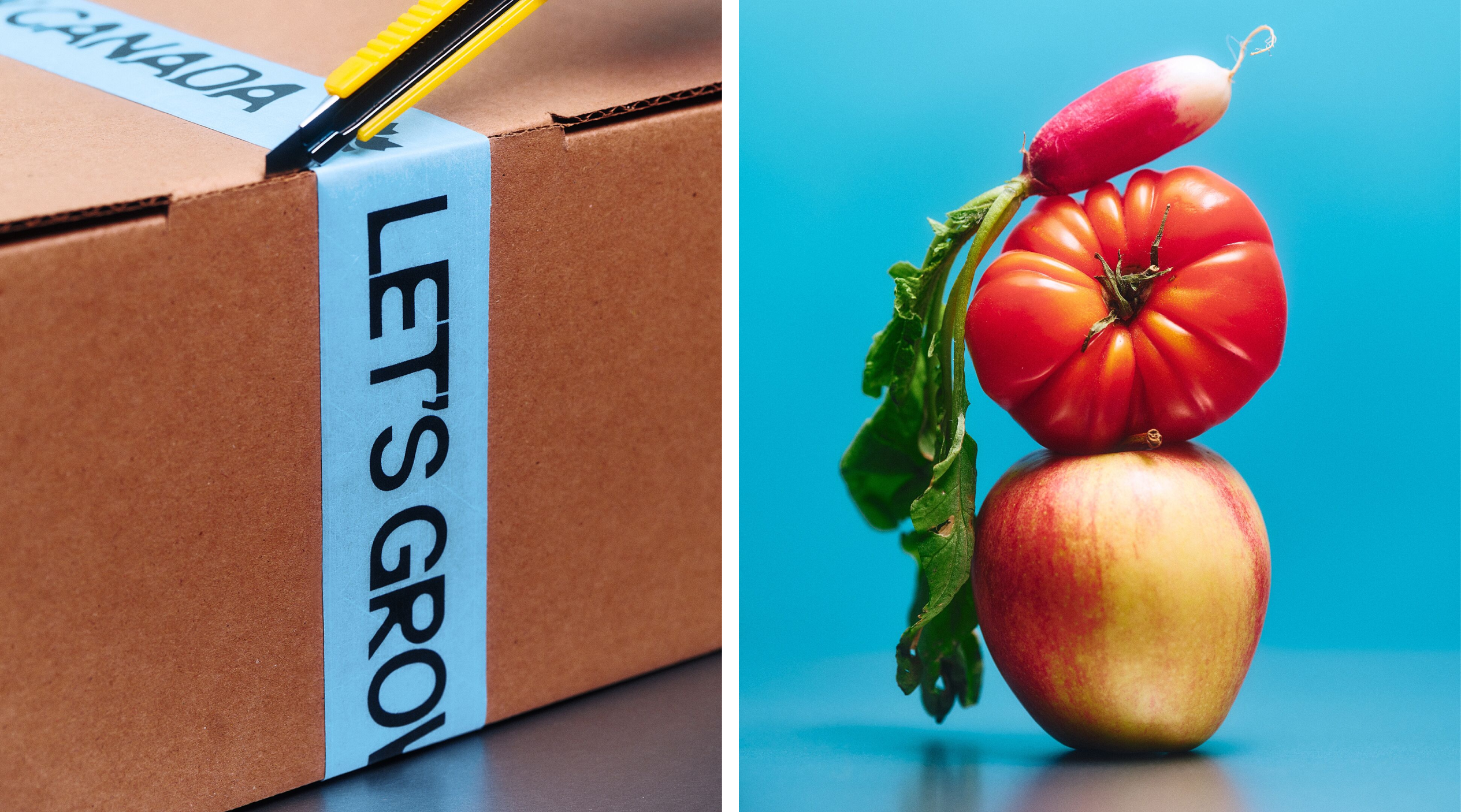 caserne lets grow canada branding identity design logo bpo review box