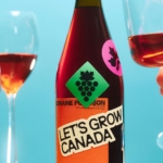 Caserne eschews worthy sentimentality in its gorgeously vibrant, unapologetically modern identity for Let’s Grow Canada