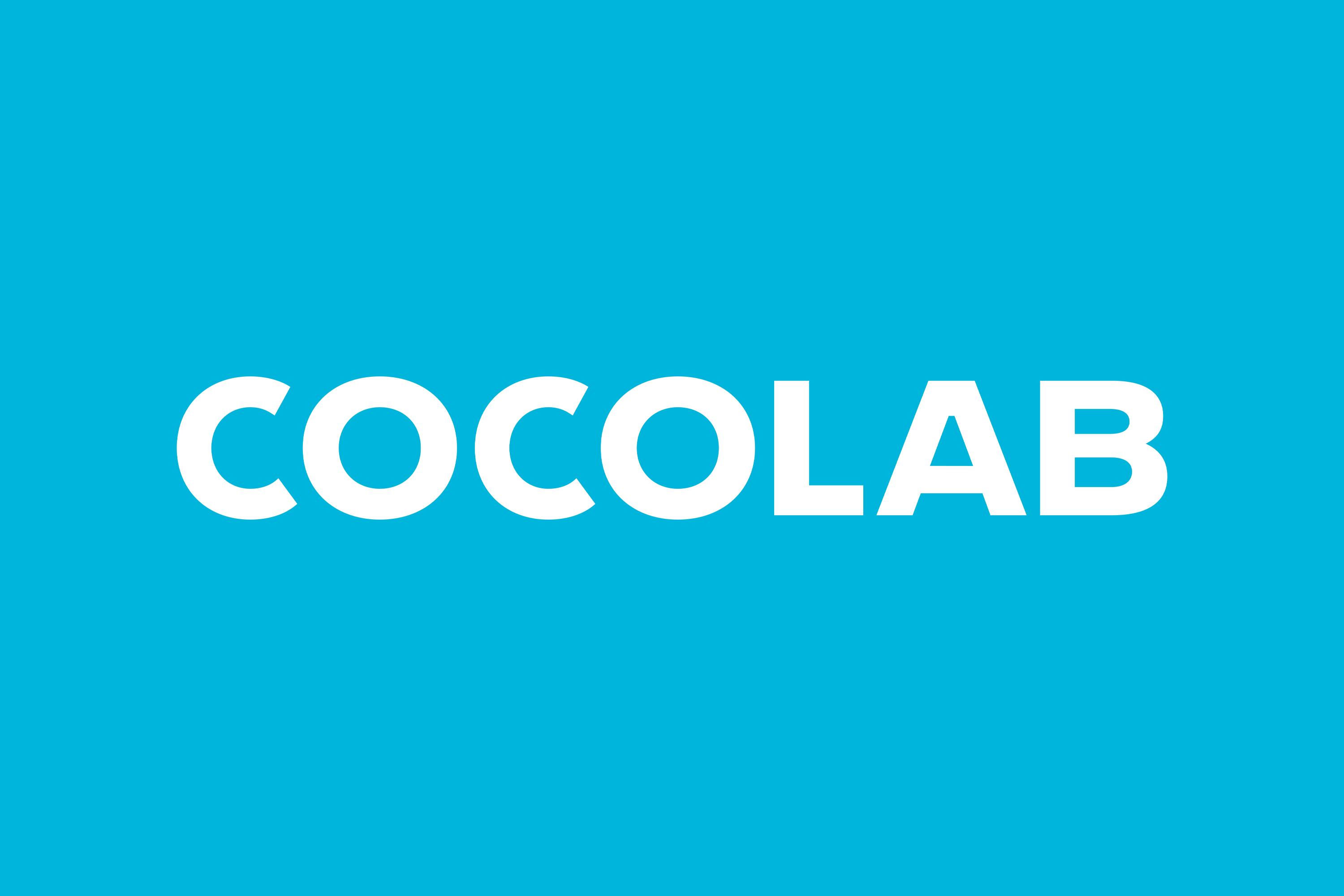 cocolab packaging branding wordmark typography by wedge bpo review
