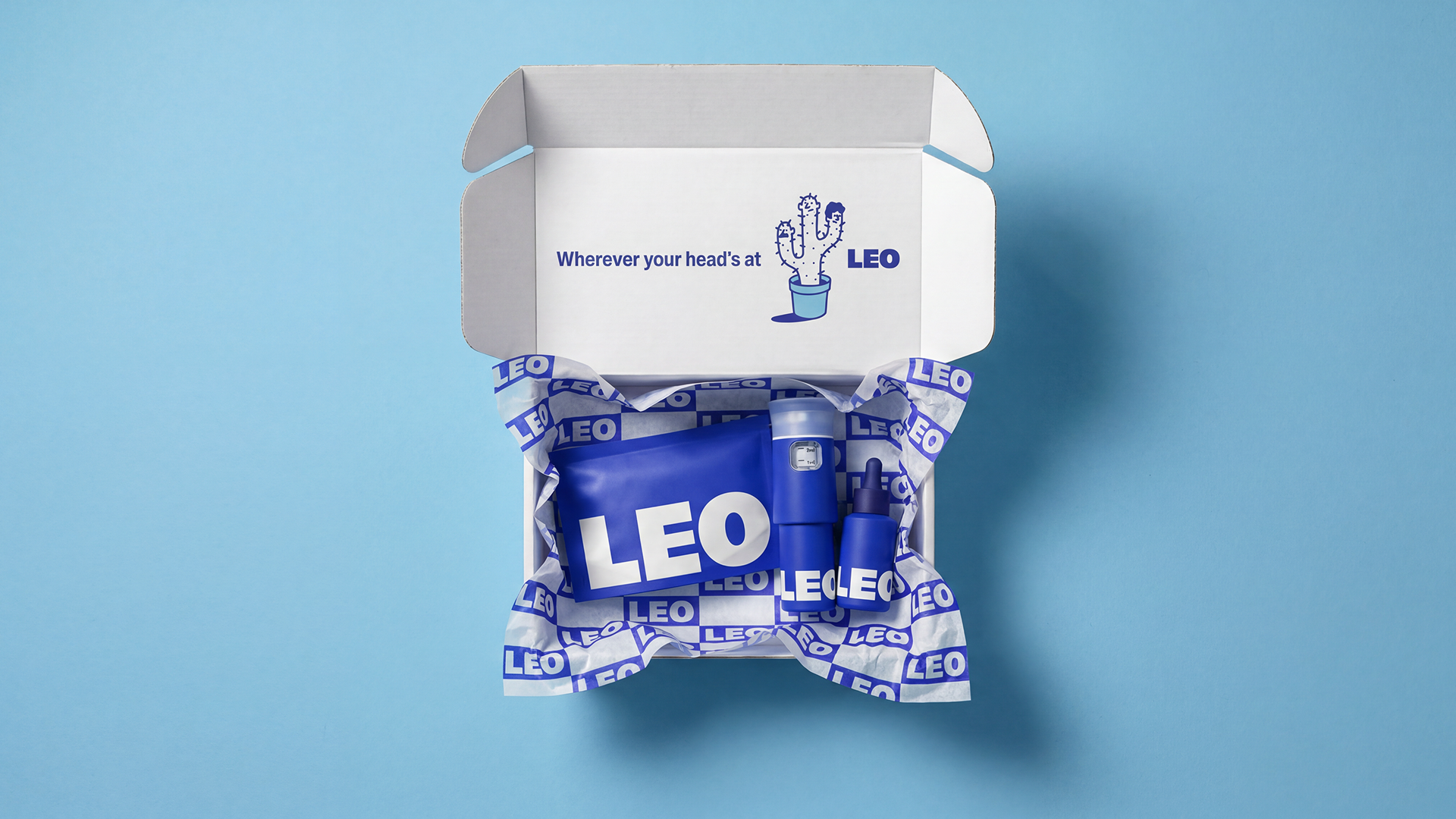 creative spark leo hair logo brand identity design bpo review box