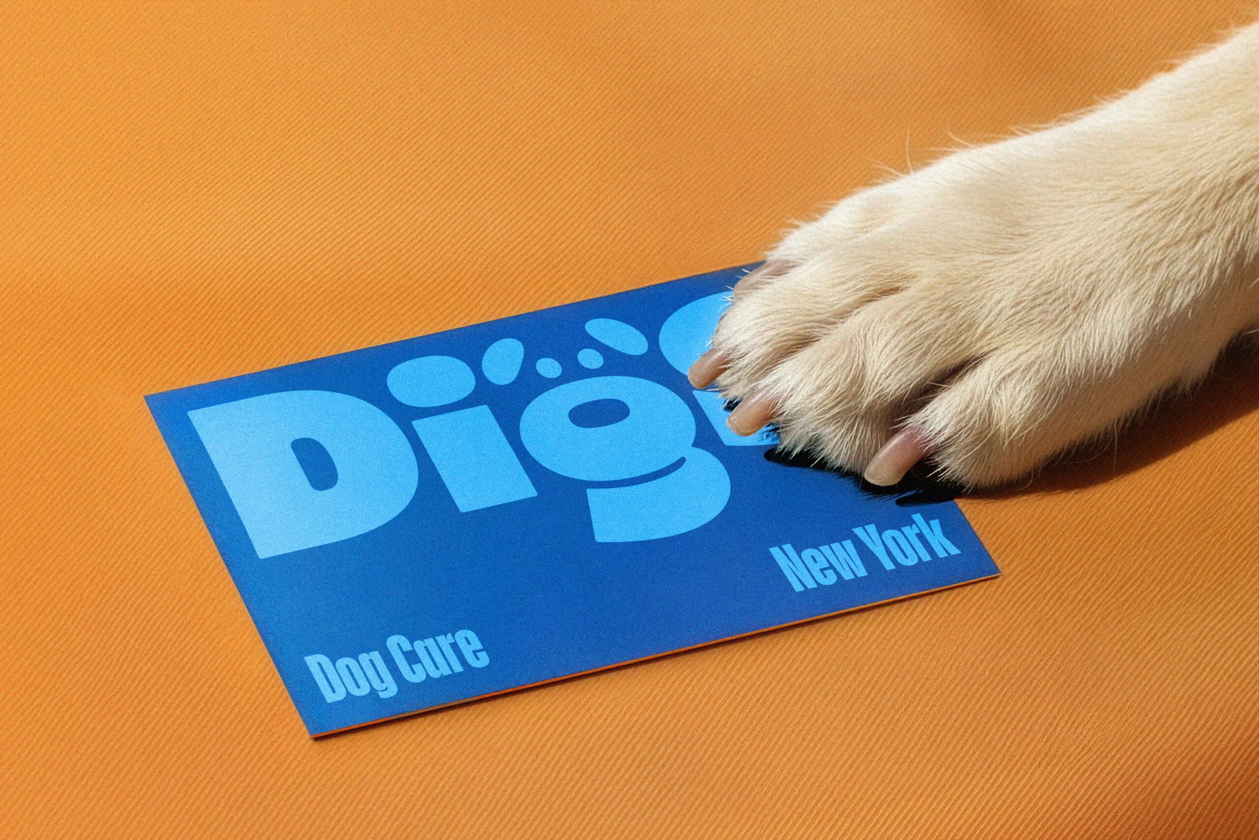 digs saint urbain brand design identity wordmark typography logo printed cards