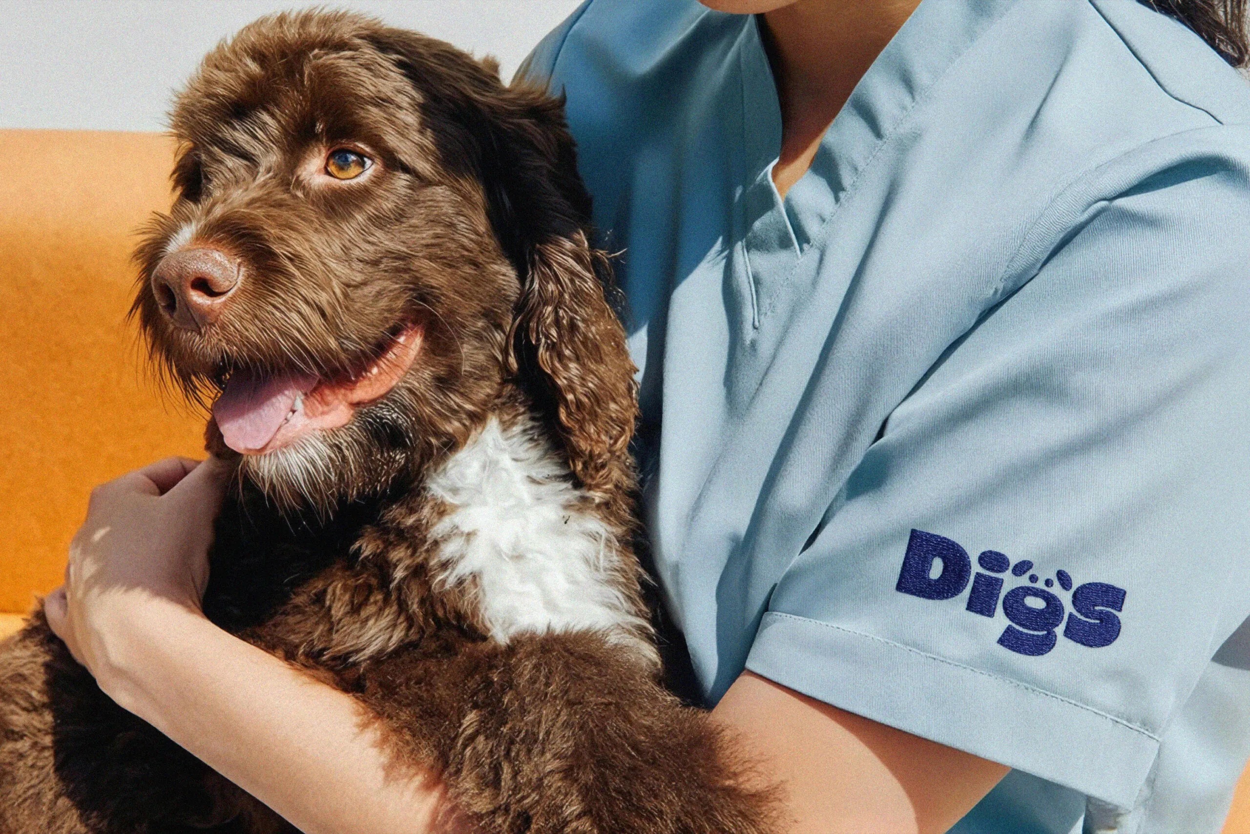 digs saint urbain brand design identity wordmark typography logo uniform