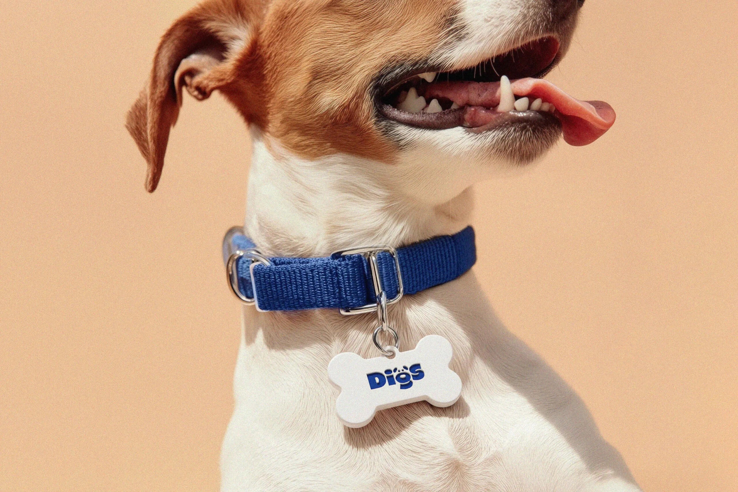 digs saint urbain brand design identity wordmark typography posters logo collar