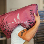 Flour, But Make It Sexy. And Big