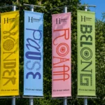 ‘I am the walrus’: Anatomy’s charming new identity for the Horniman Museum