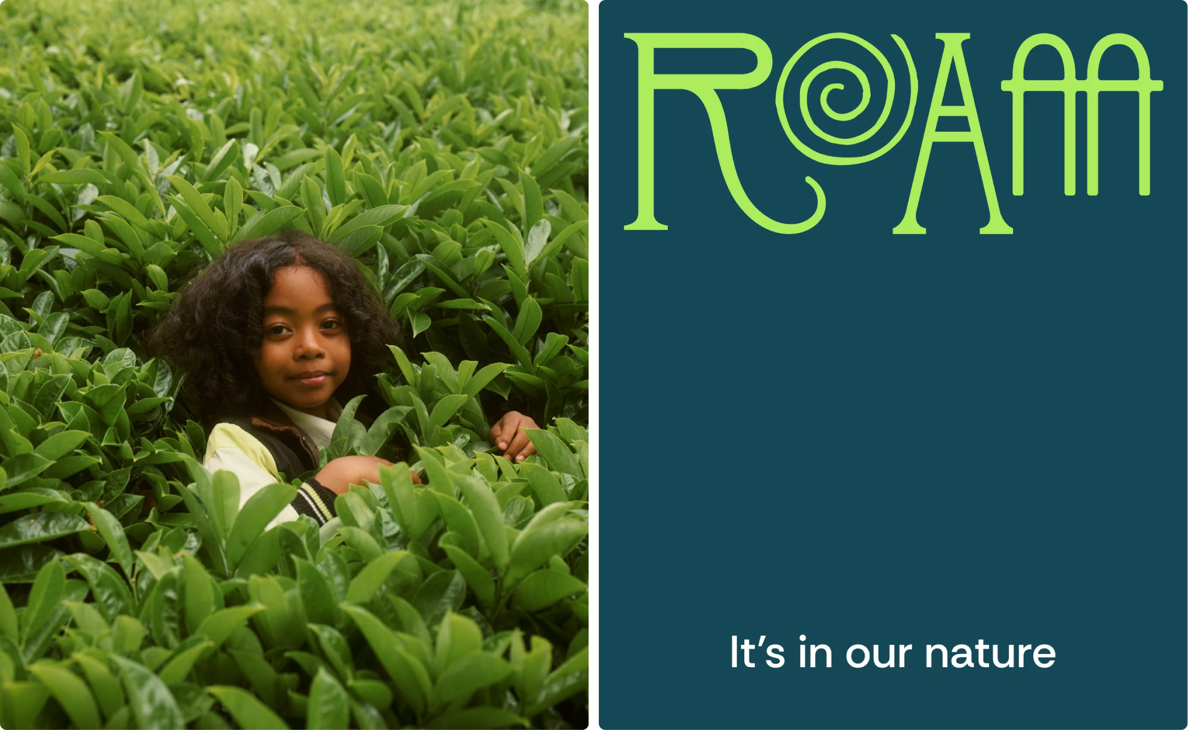 horniman museum anatomy branding identity design bpo review roam