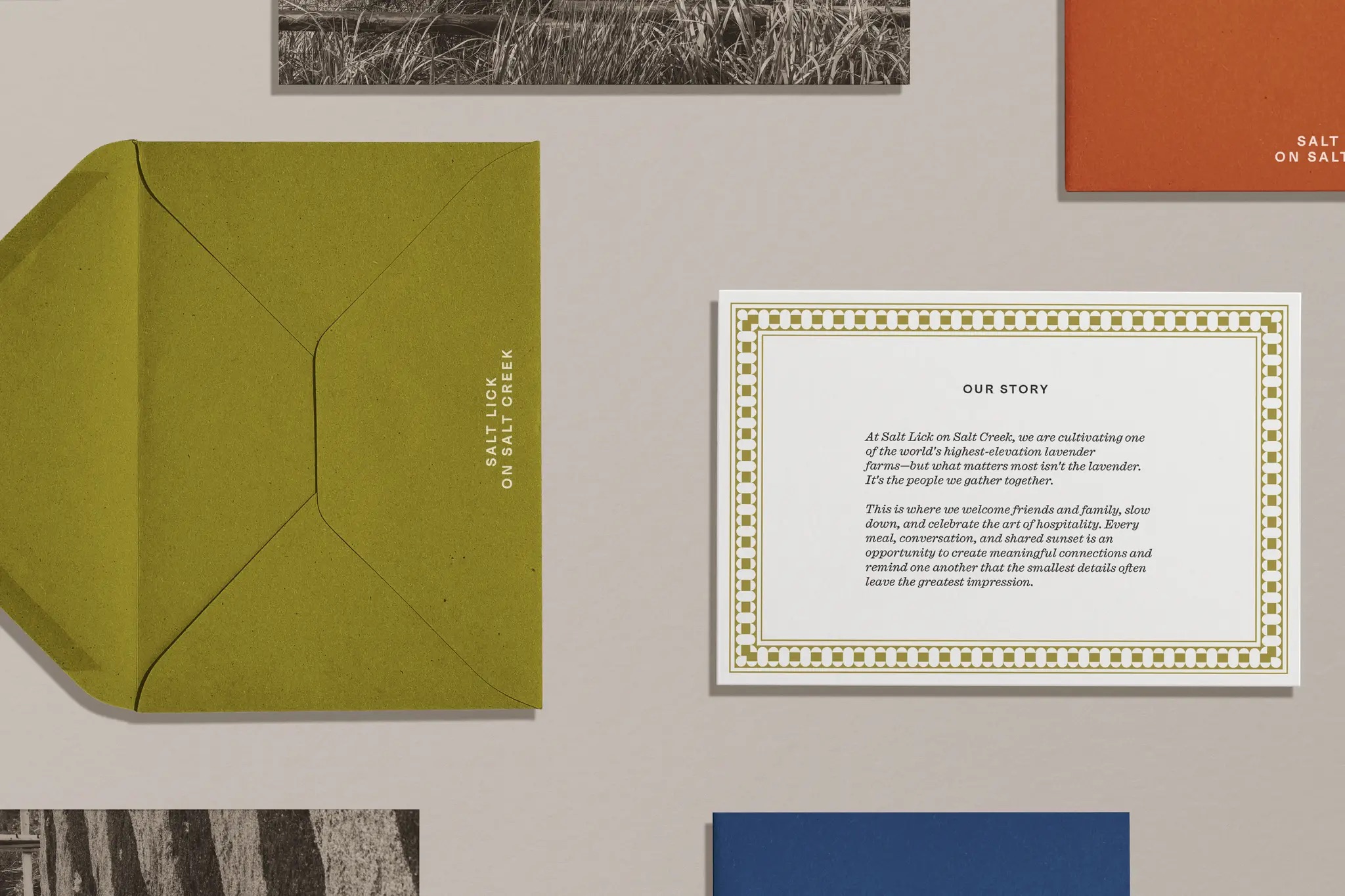 salt lick on salt creek by order brand identity design logo bpo review print design