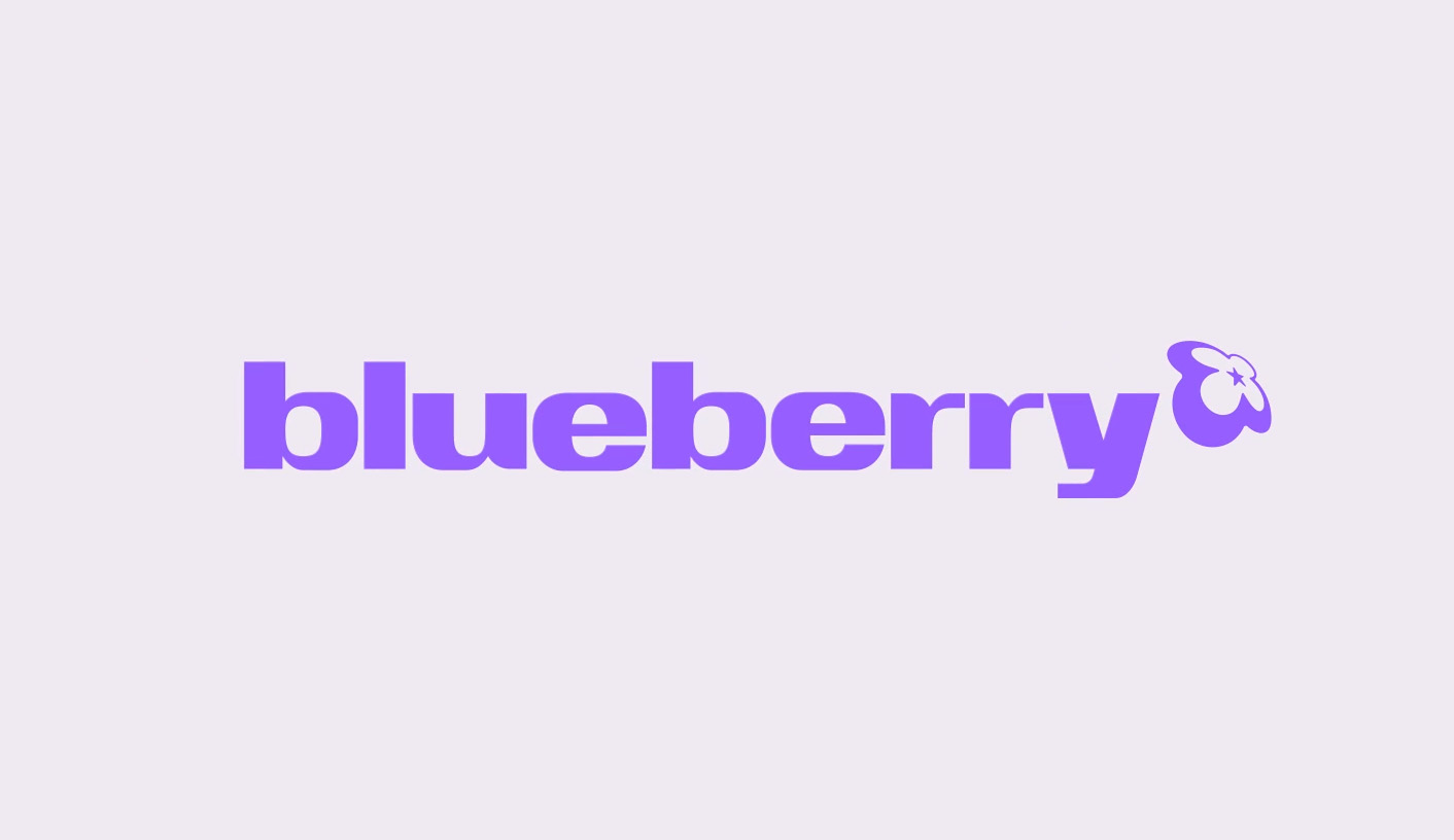 Blueberry brand identity typography wordmark logo character design by Studio NARI