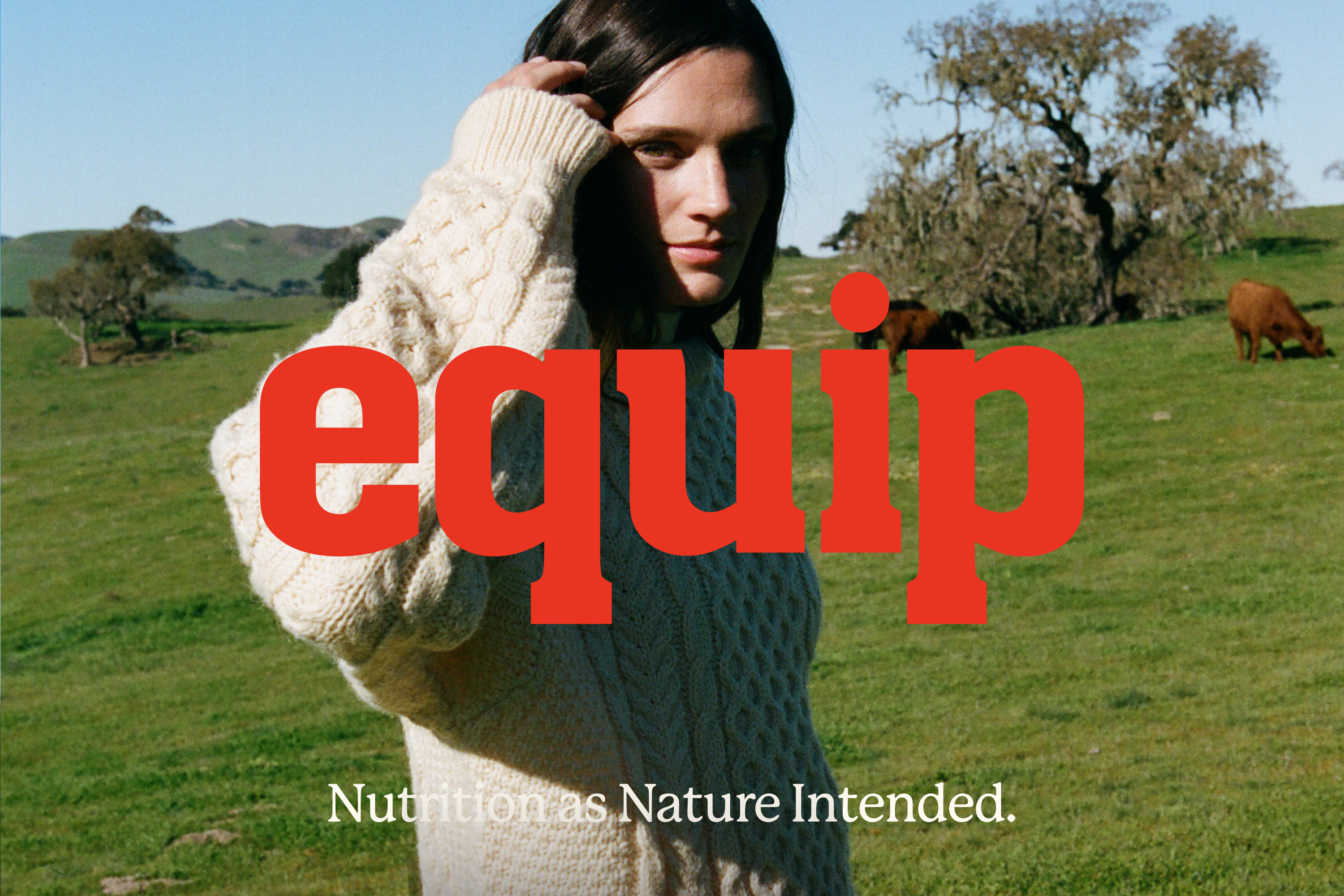 wedge equip logo wordmark brand design packaging art direction photography bpo review